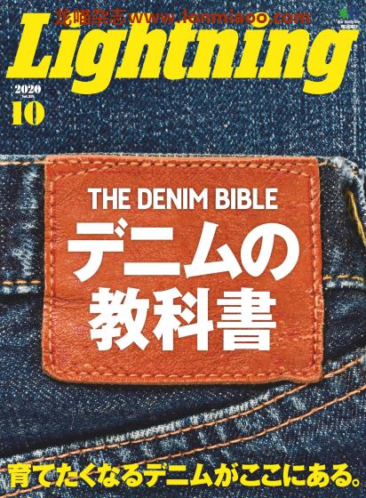 [日本版]Lightning 男士时尚休闲杂志PDF电子版 2020年10月刊